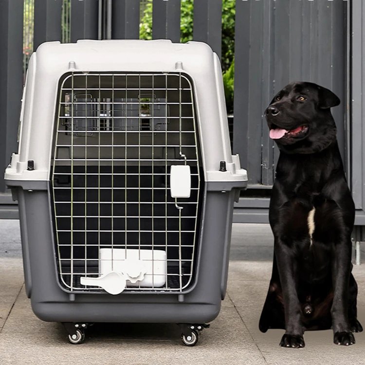 Accept Durable Customization Wholesale High Quality Airline Approved Cat Cages Wire Door Plastic Pet Travel Carrier Cage