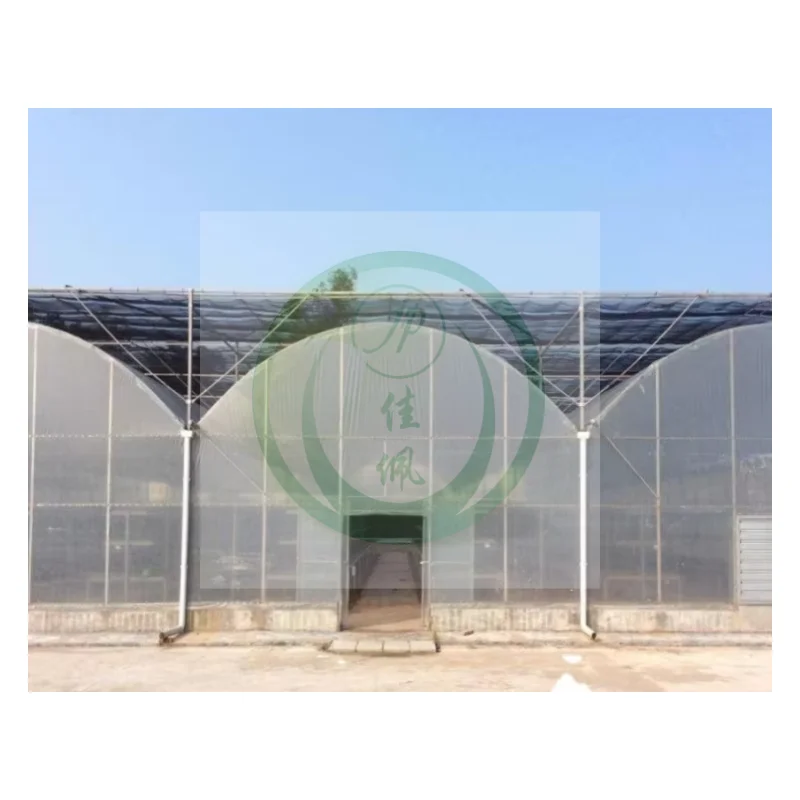 Jiapei Multi-span agricultural tomato hydroponic Growing Systems vertical planting Cultivation flim blueberry greenhouse