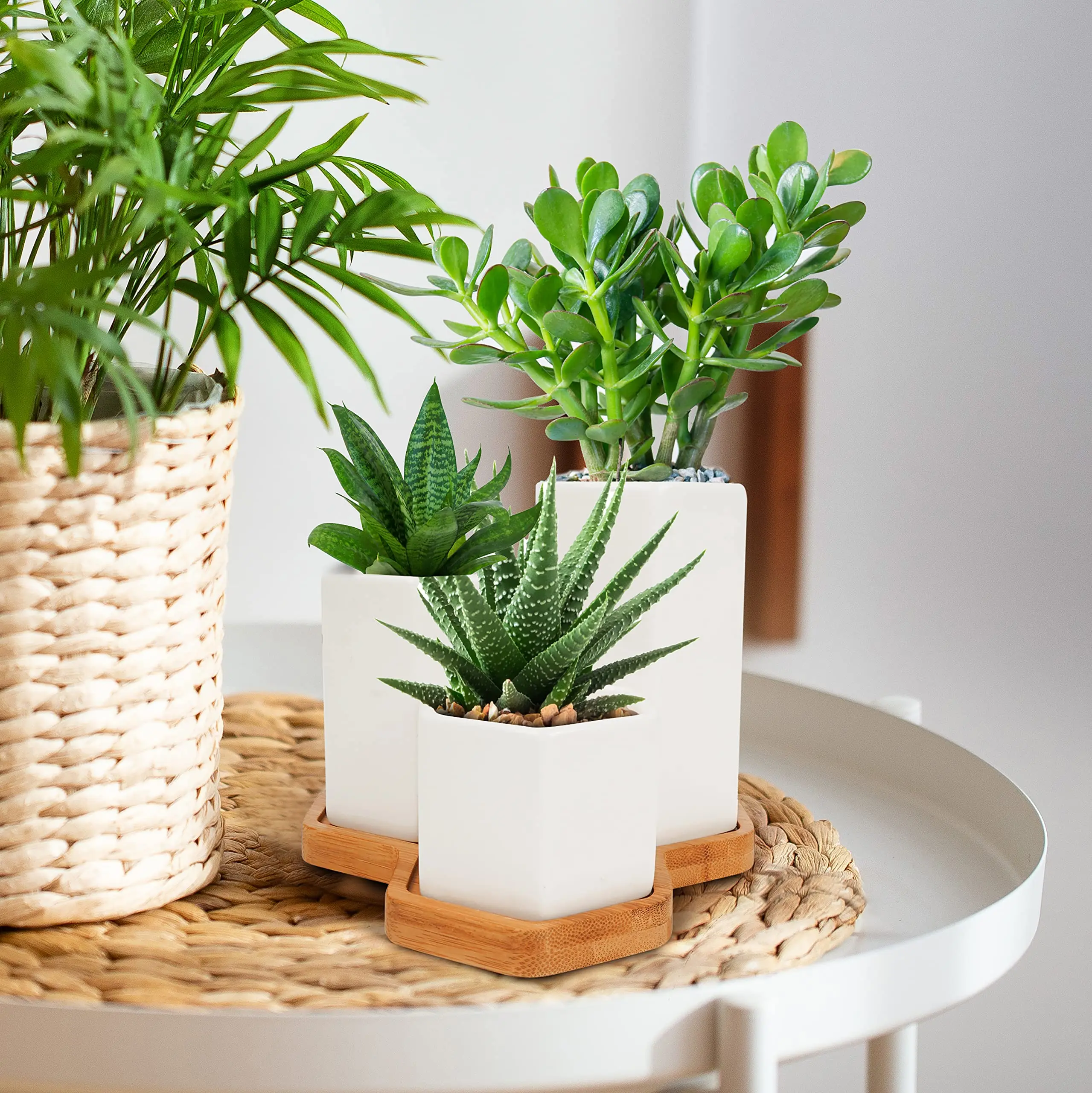 NISEVEN New Design 3pcs/Set White Hexagon Ceramic Pots With Bamboo Tray Succulent Pot Ceramic Flower Pot