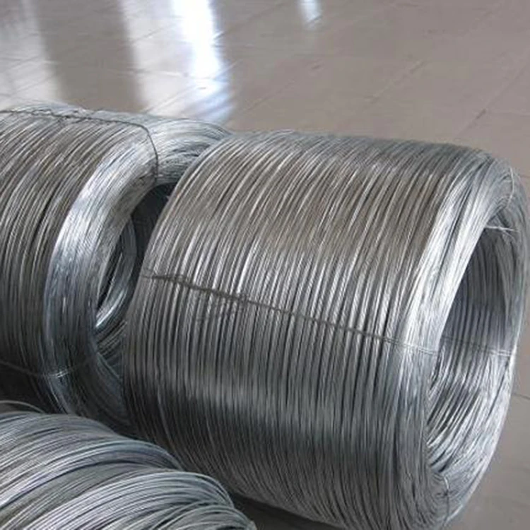 
0.7-7.00 mm Hot Dipped/Cold Electro Galvanized Steel Wire Rope Manufacture 