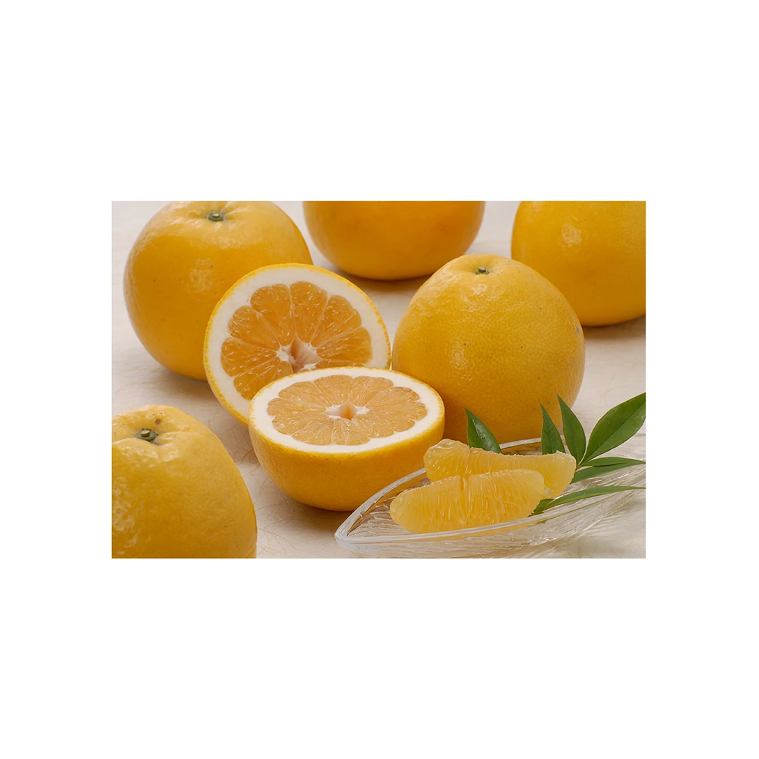 Japanese wholesale bulk fresh Japan fruit with good quality