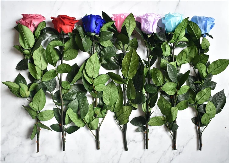 E-1281 Eternal Flower Real Preserved Rose with Stem