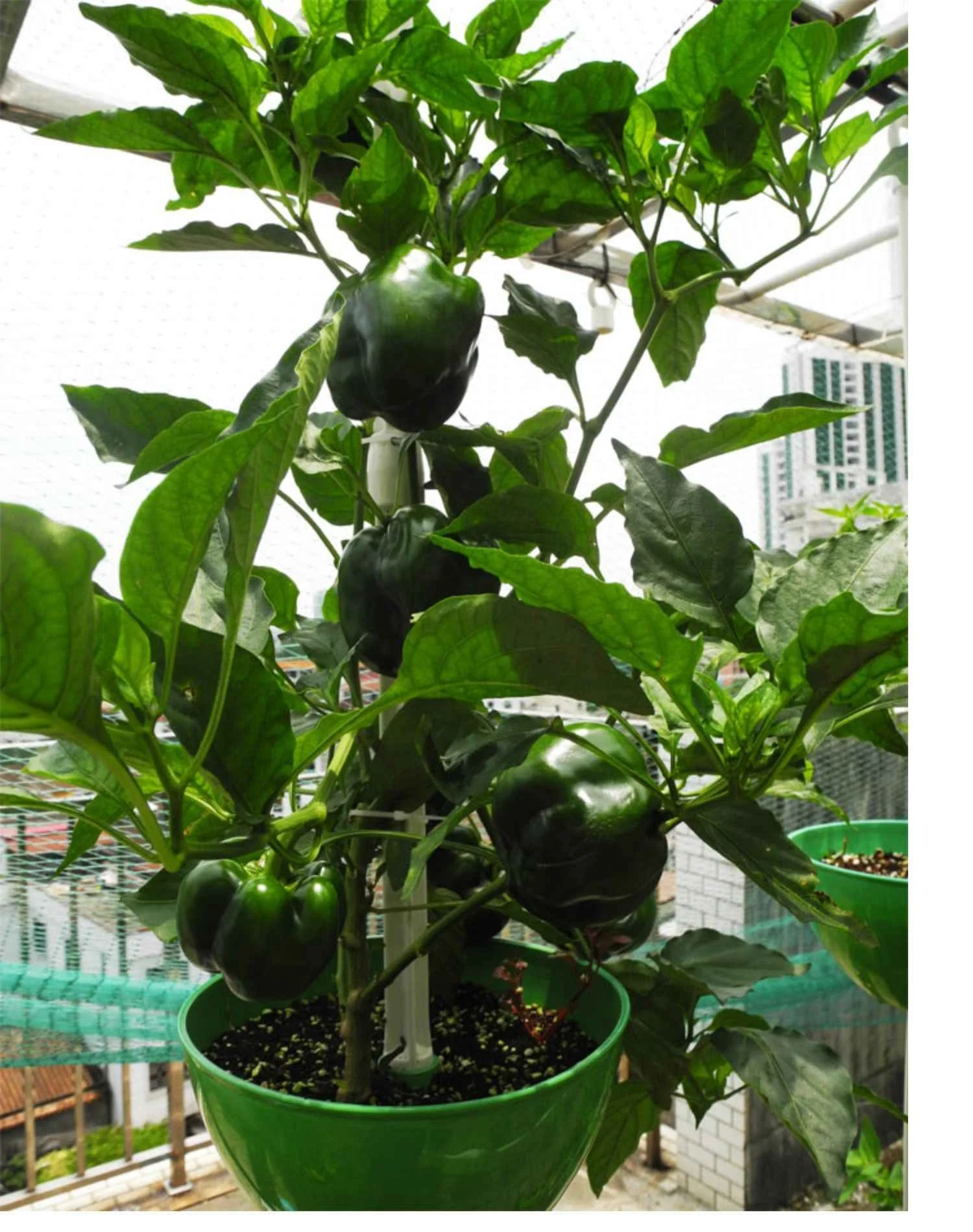 OMANA 2023 Green Color Vertical Flower Pot Stackable Hydroponics Growing Pot