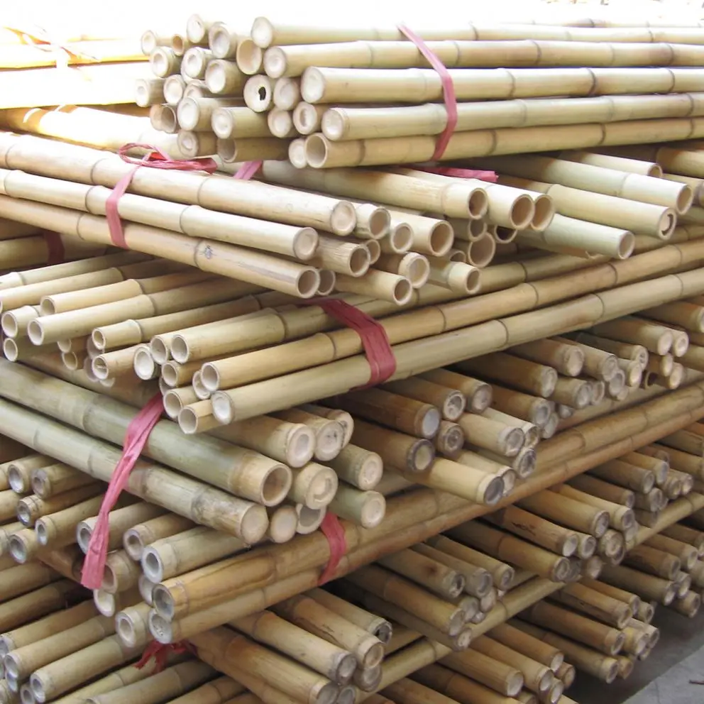 Wholesale natural straight bamboo pole artificial bamboo poles