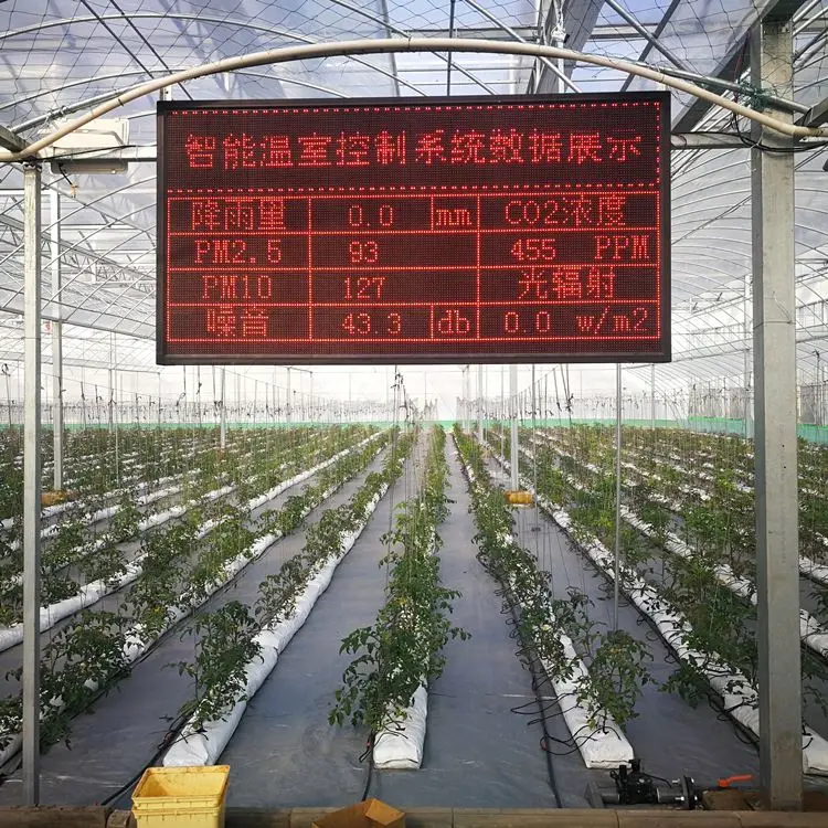 Zehui manufacturing Venlo hydroponics polycarbonate sheet greenhouse glass greenhouses with low price  for sale