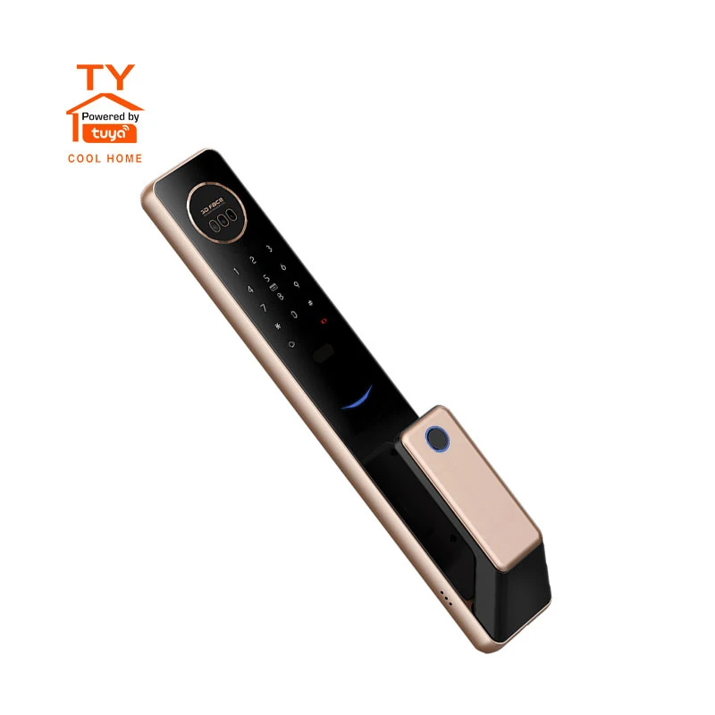 Factory Price TTlock Tuya Zigbee App Smart Locks Fingerprint Key Password Card Digital Door Lock