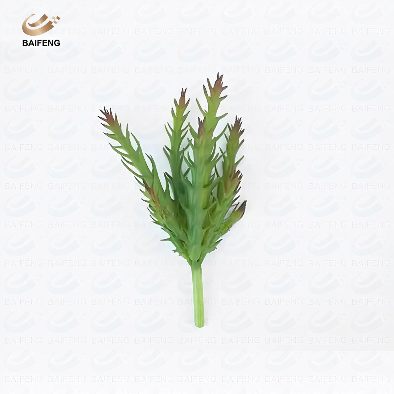 wholesale good price assortment home garden decoration flowering arrangement mini unpotted artificial succulent plants  for sale