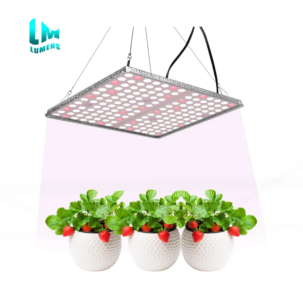Factory supply lights full spectrum wholesale commercial led grow light board at good price