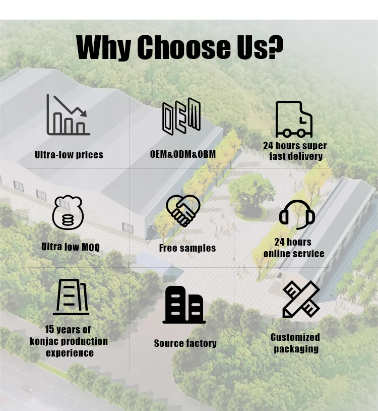 Vegan Friendly Odor Free Keto Vegan-Friendly Flavorful Diet Gluten Free Konnyaku Ramen Pasta