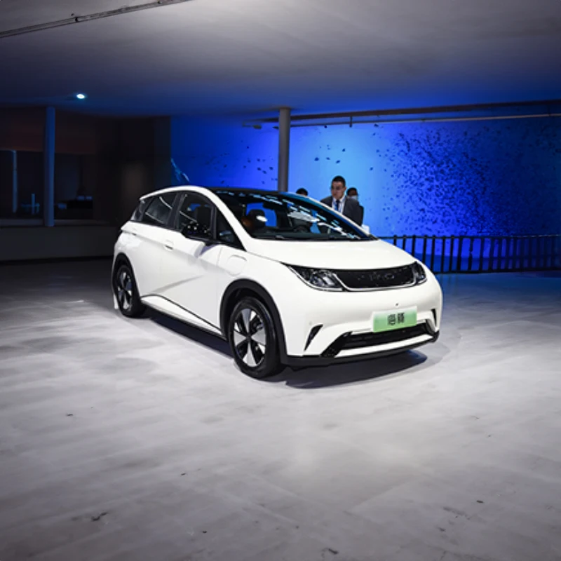 Высокое качество приятная цена 2024 BYD Dolphin Бесплатная версия электрический автомобиль удобный 5-дверный 5-местный длинная выносливость