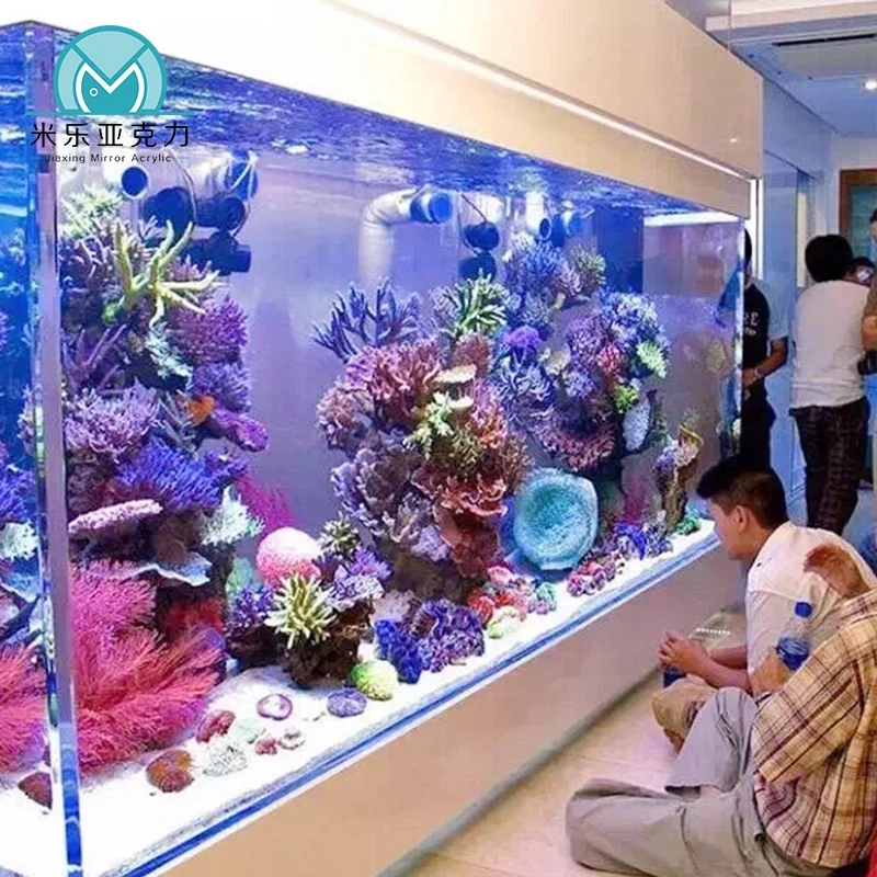 Large Acrylic new style Aquarium Tanks Sale Marine Aquarium Fish Tank