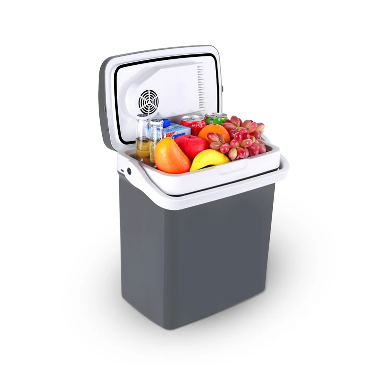 12v dc 21L portable electric style car fridge thermoelectric refrigerator cooler box