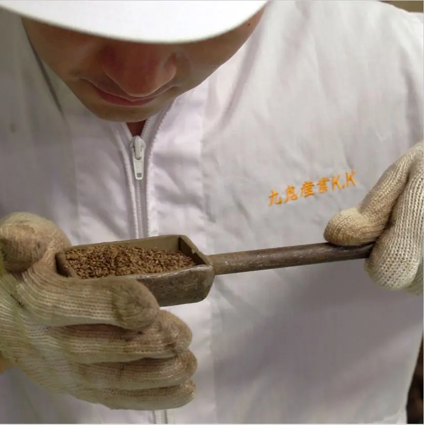 PURE SESAME SEED OIL, toasted type,sesame oil bottles cold oil press sesam seeds sesame oil production plant