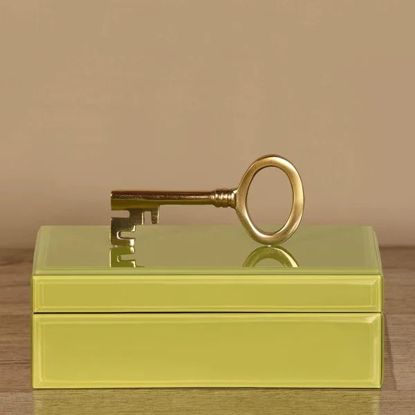 Good looking new design mirror ring new style ornament jewelry boxes trending color fancy boxes high end designer