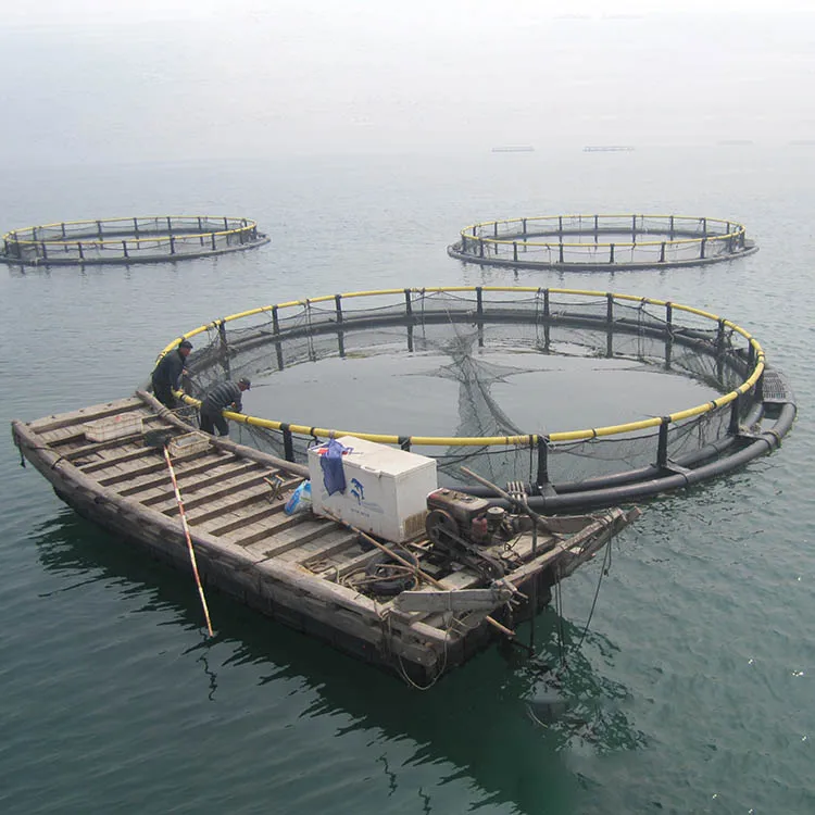 excellent wire folding fish cage trap