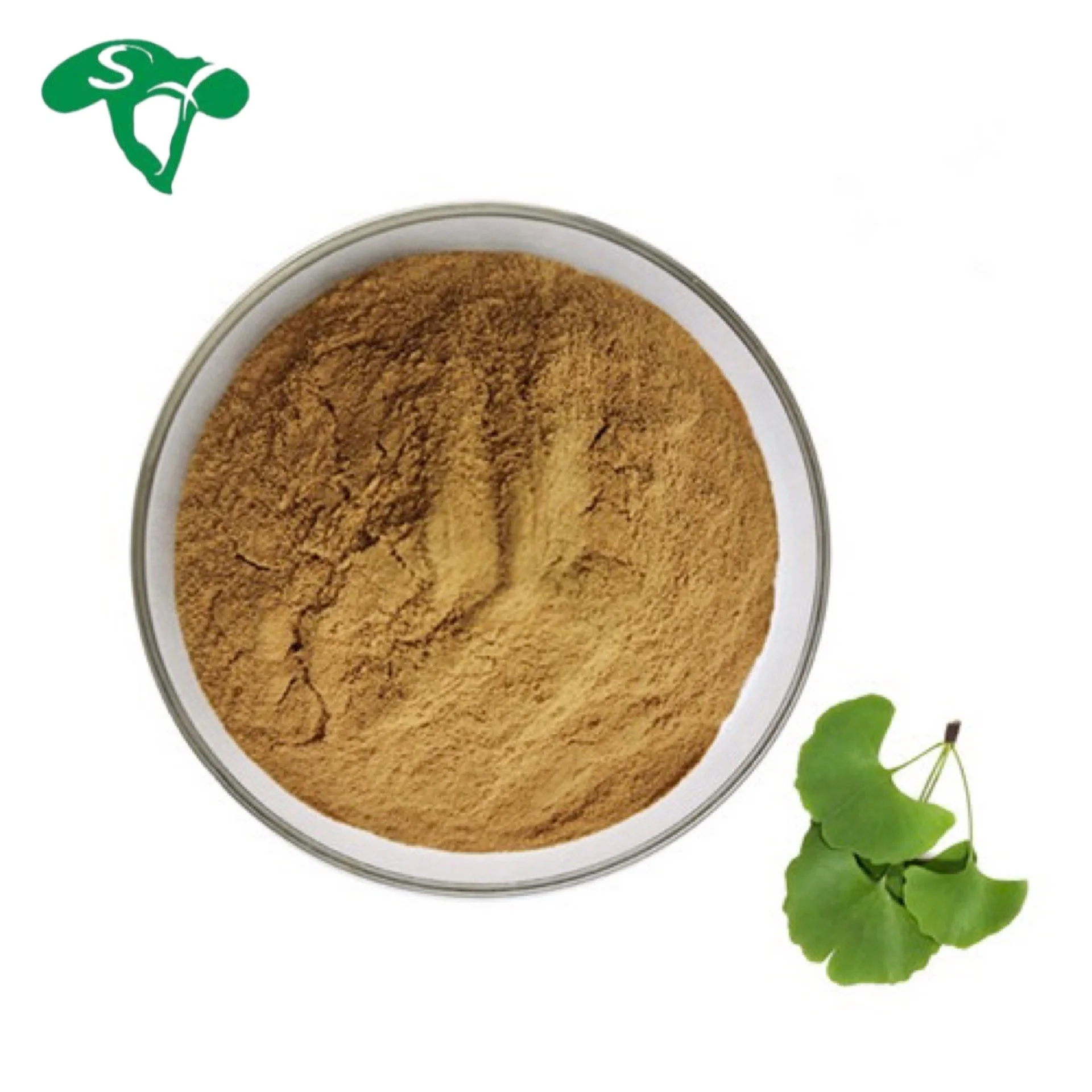 Wholesale 100% Natural Ginkgo Biloba Leaf Extract Powder