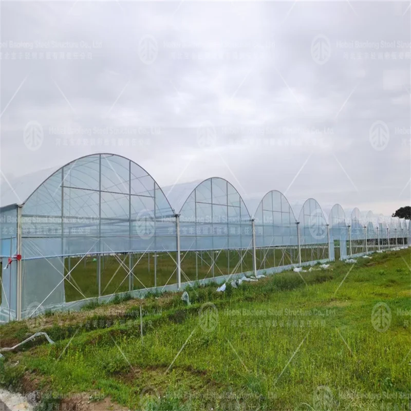 Low-Cost Tunnel Greenhouse for Efficient Crop Production