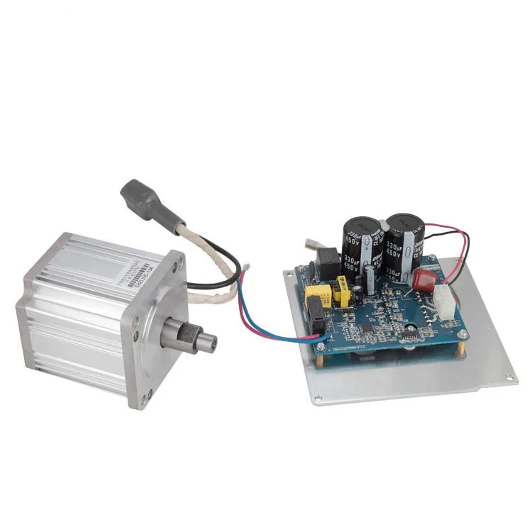 OEM factory for 220V brushless dc motor