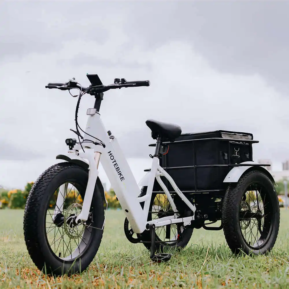 Tricycle electric 3 wheel electric tricycle motorcycle 500w 3 wheels electric bike with roof electric tricycle for sale