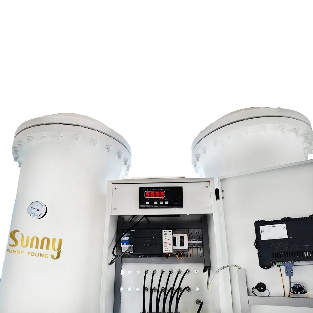 Turnkey solution plug&play 20Nm3/h Filling station nitrogen generator hi-quality hi-purity Containerization psa oxygen generator
