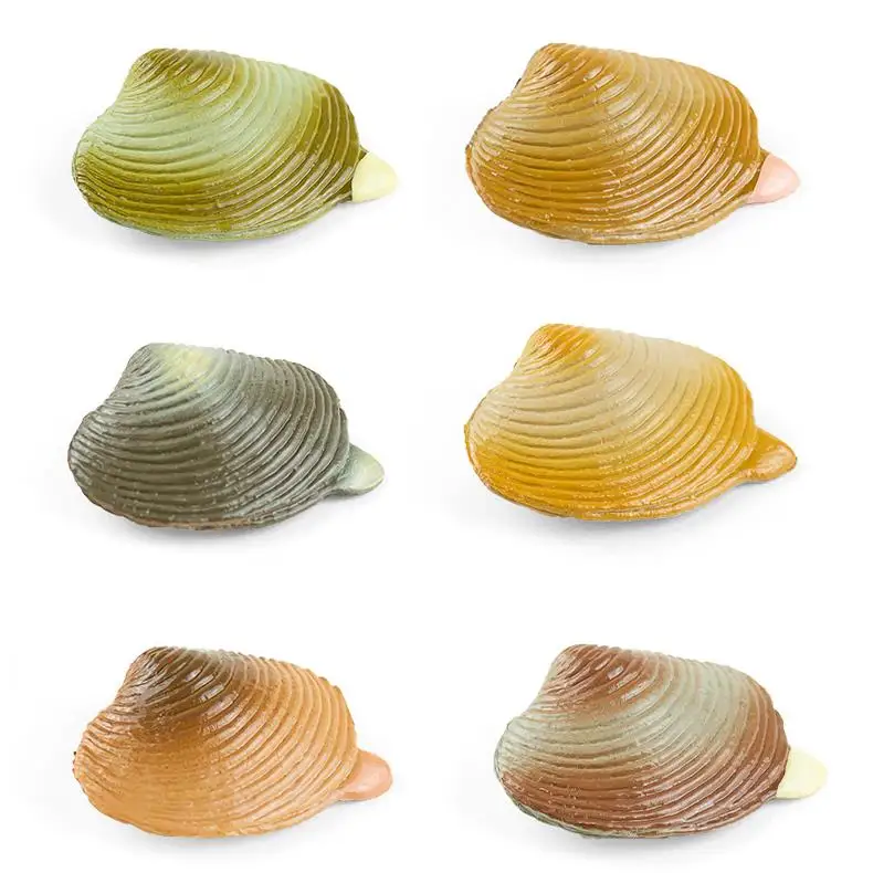 Dongmei Marine Biology Model Simulation Clam Toy Children Cognitive Fish tank Decoration 6 Color Customization