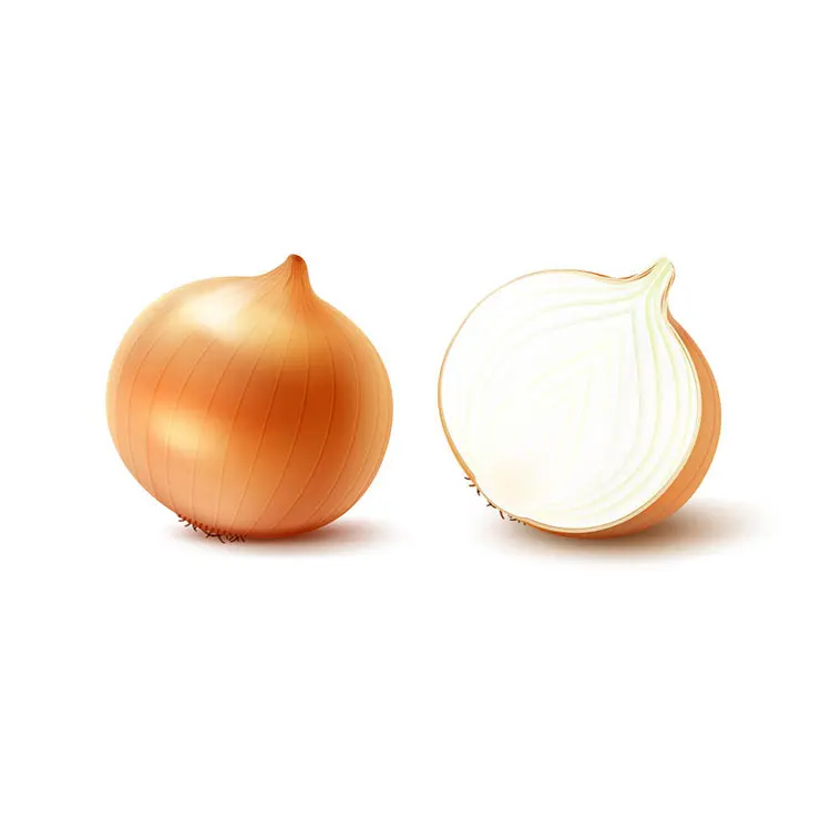 
Onion Prices, Onions China in Bulk, Yellow Holland Onions Fresh Non-peeled Round Liliaceous Vegetabless 