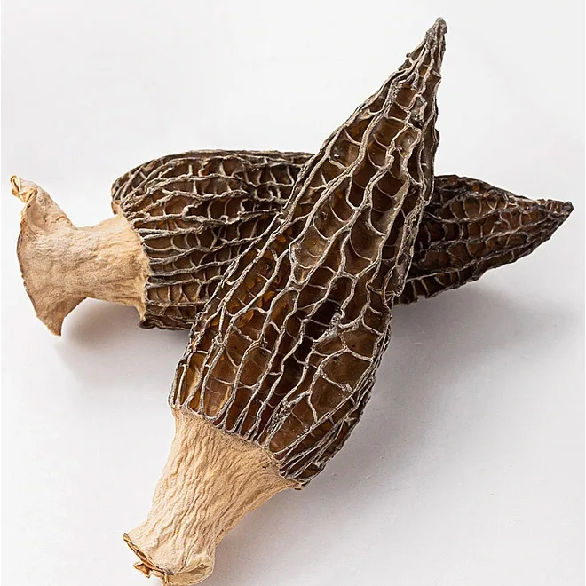 Yunnan Factory Price Cultivate Dried Morel Mushrooms Morel Mushroom Price Dried mushrooms