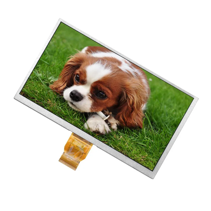 Competitive Price LCD  9.0inch  LCD 800*480 resolution RGB Interface Factory Price /TN Type lcd screen for Industrial Medical