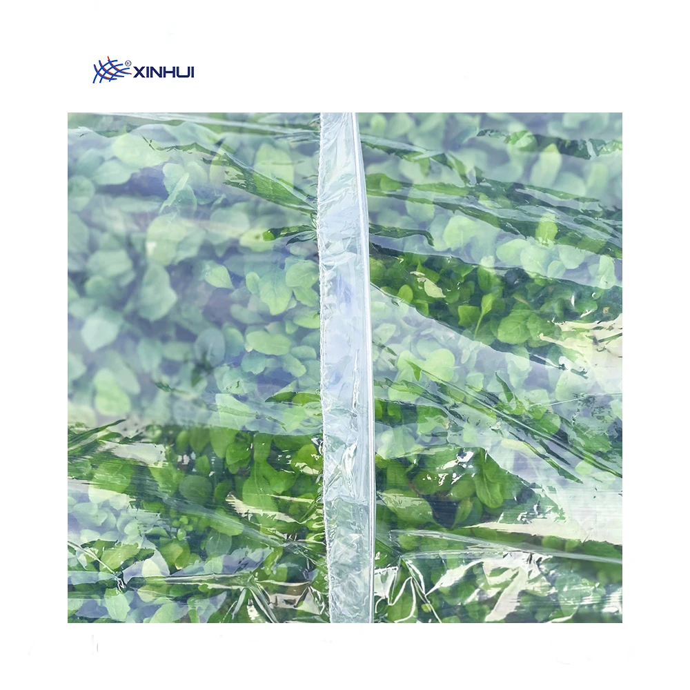 Горячая Распродажа, пластиковая легкая туннельная теплица для сада