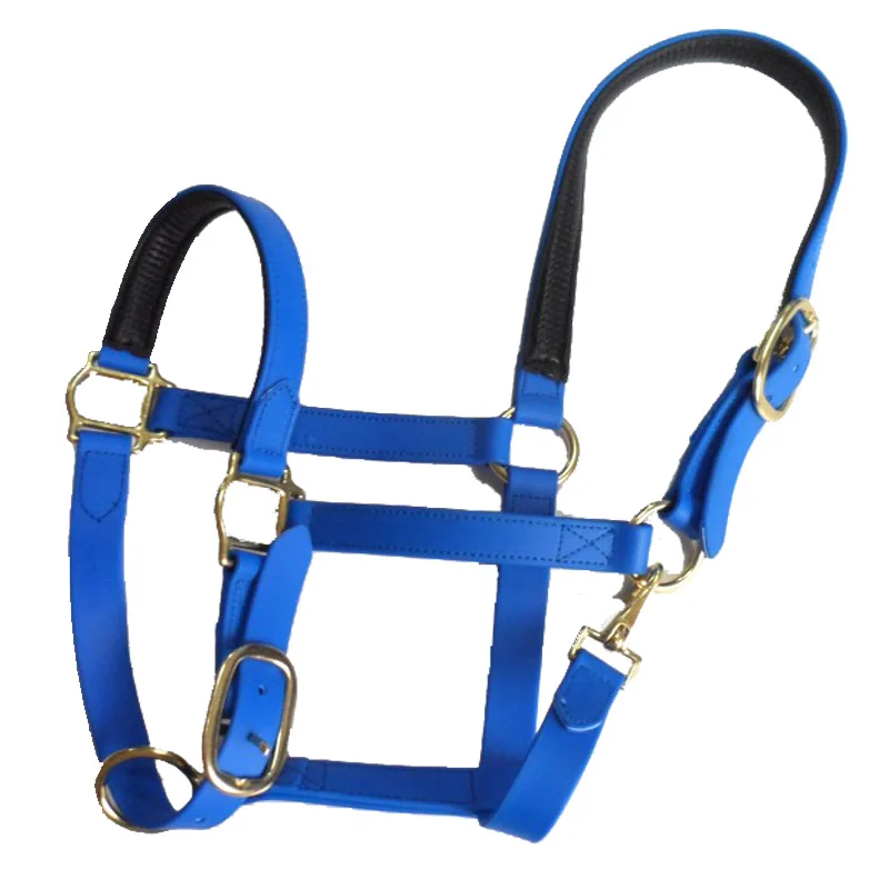 Strong and light horse halter in Green fruit color