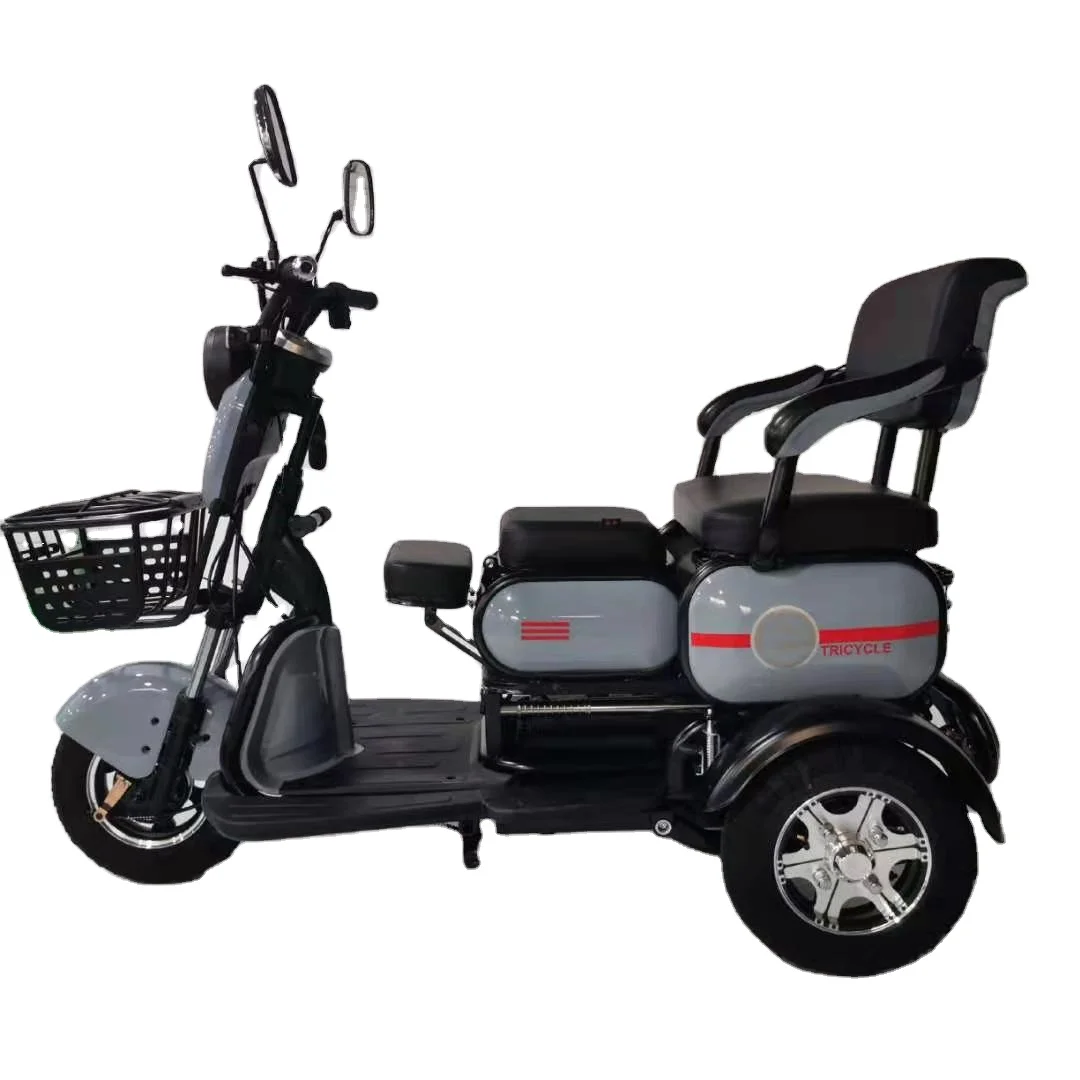  Factory supply OEM 800W city etrike Electric Tricycle for 3