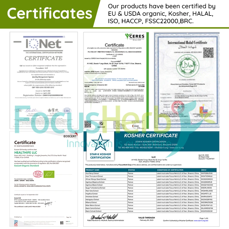 FocusHerb Cas130-40-5 рибофлавин-5-фосфат натрия рибофлавин фосфат 75% Витамин B2