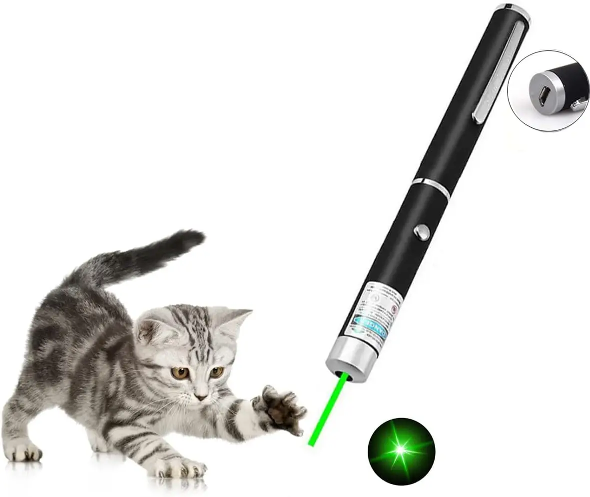 Factory Laser Presentation Remotes Red Green Purple Light Laser Pointer for Cats Dogs Cats Laser Pointer Pet Interactive Toys