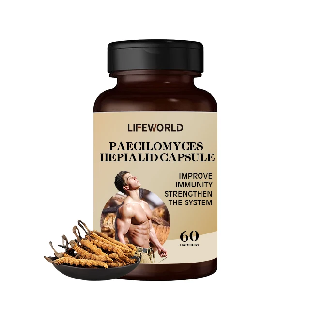 Травяная добавка Cordyceps Sinensis экстракт Paecilomyces Hepialid капсула для улучшения мужской