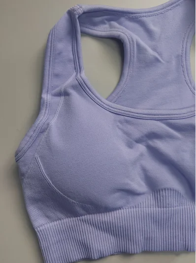 Sports Bra Tops Women's Gym Clothing Promotion Drop Shipping Seamless Pants Sportswear Casual Stretch Seamless Yoga Set