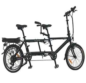 Tandem Electric Bicycle  20 Inch Family Relax Riding Bike  Big Power