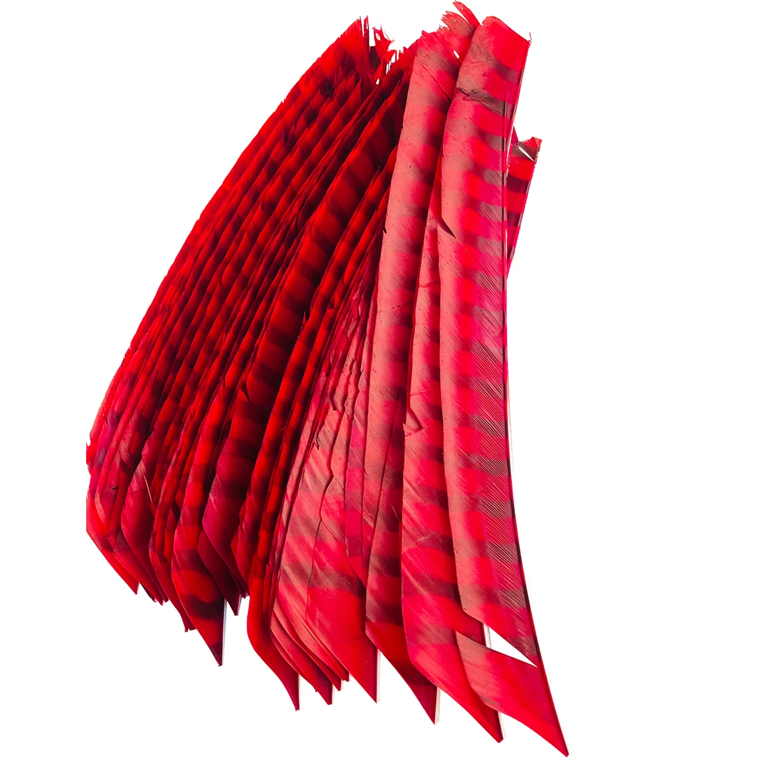 Full Length Right Wing Archery Arrow Feathers Colorful Stripe Turkey Feather Hunting and Shooting Arrow Feather DIY Outdoor