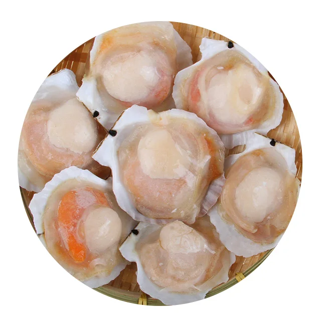 Da lian Healthy Frozen Scallop In Bulk