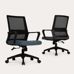 Beauty Anji Antique Ergonomic Office Chair