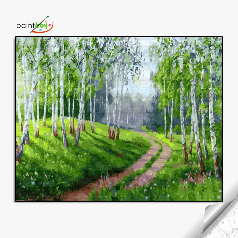 Набор для рисования по номерам DIY Paintboy, для украшения дома