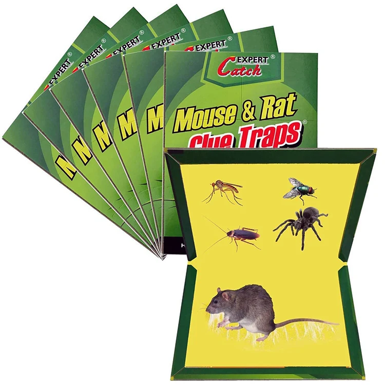 Trampa Ratones Pega Raton Mice Rat Snake Lizard Mouse Glue Board Trap Manufacturer