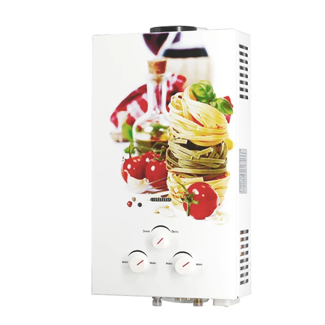 Home Appliance Junkers Wall Mounted Tankless Instant Gas Hot Water Unit Heater