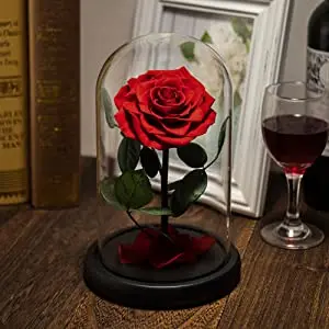 С принтом «Маленький принц» стабилизированный большой Bella Чудов стволовых реальные навсегда вечная стеклянный
