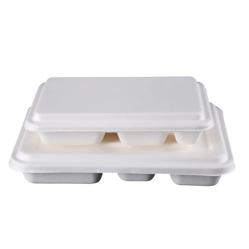 5 compartment Sugarcane Disposable Restaurant and Hotel Use Dinner Set and Tableware