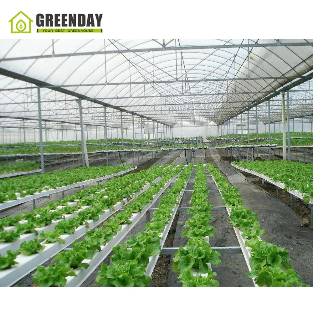 
GREENDAY Low cost galvanized steel pipe used greenhouse polytunnel greenhouse for plant growth 
