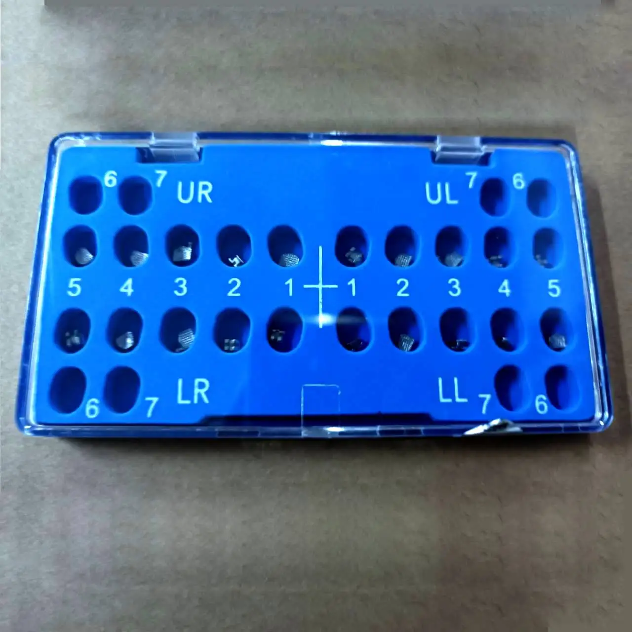 Hot Selling Orthodontic Demonstration Teeth Educational Teeth Model Orthodontic Model Teeth for Dental Course