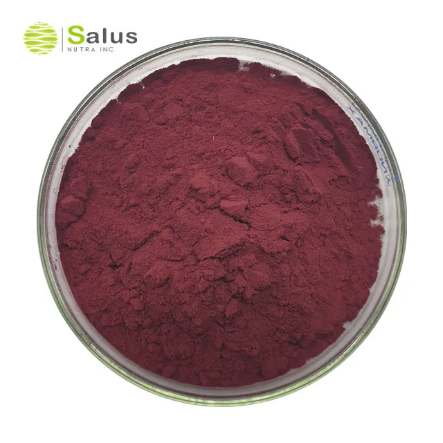 Лучшая цена, антоцианидины 25%, УФ-экстракт розели