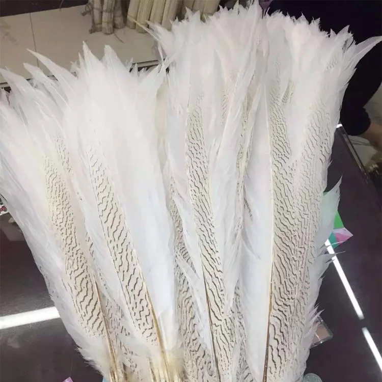35-40cm silver pheasant tail