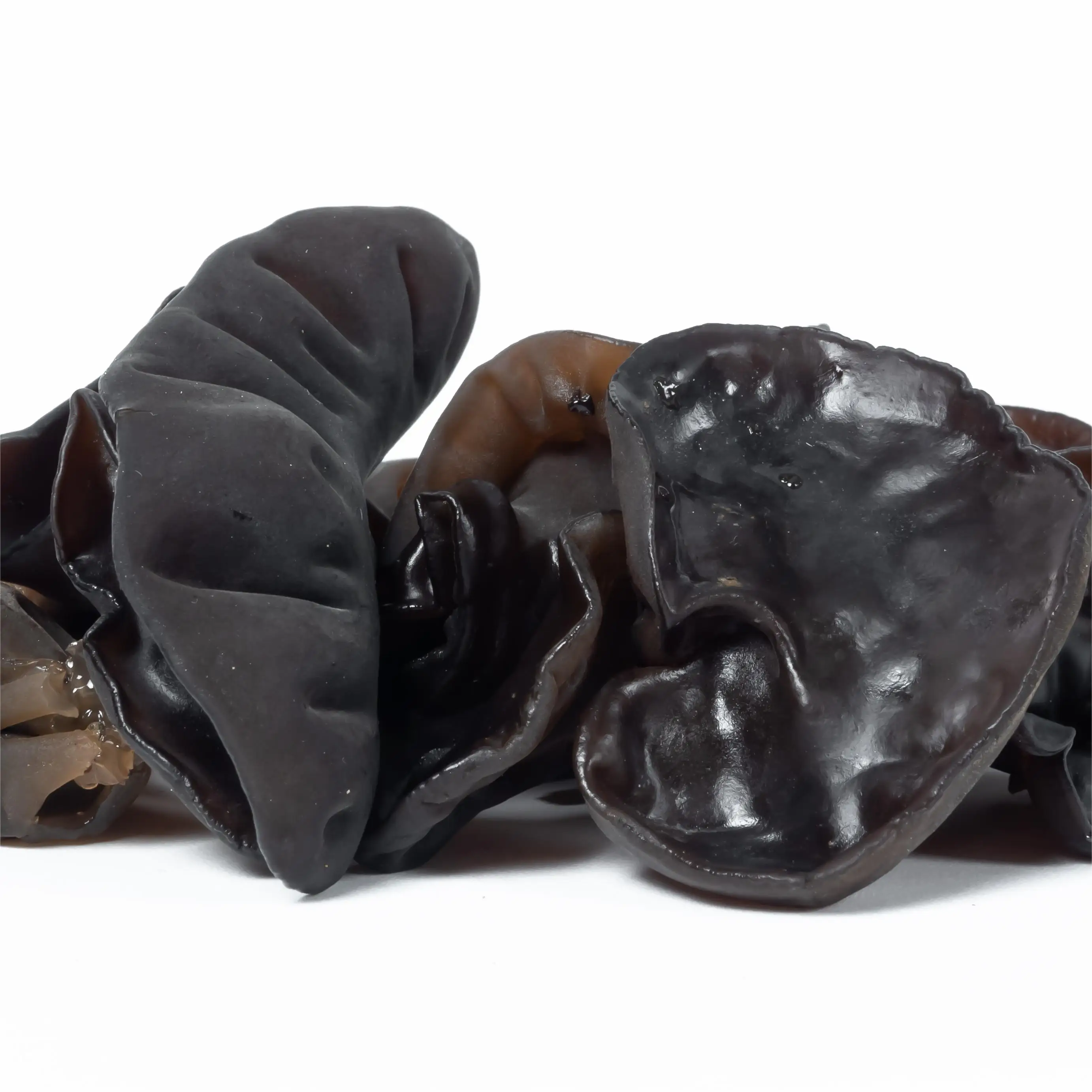 Dried  fungus  mushroom of high quality continuous development of industrialization