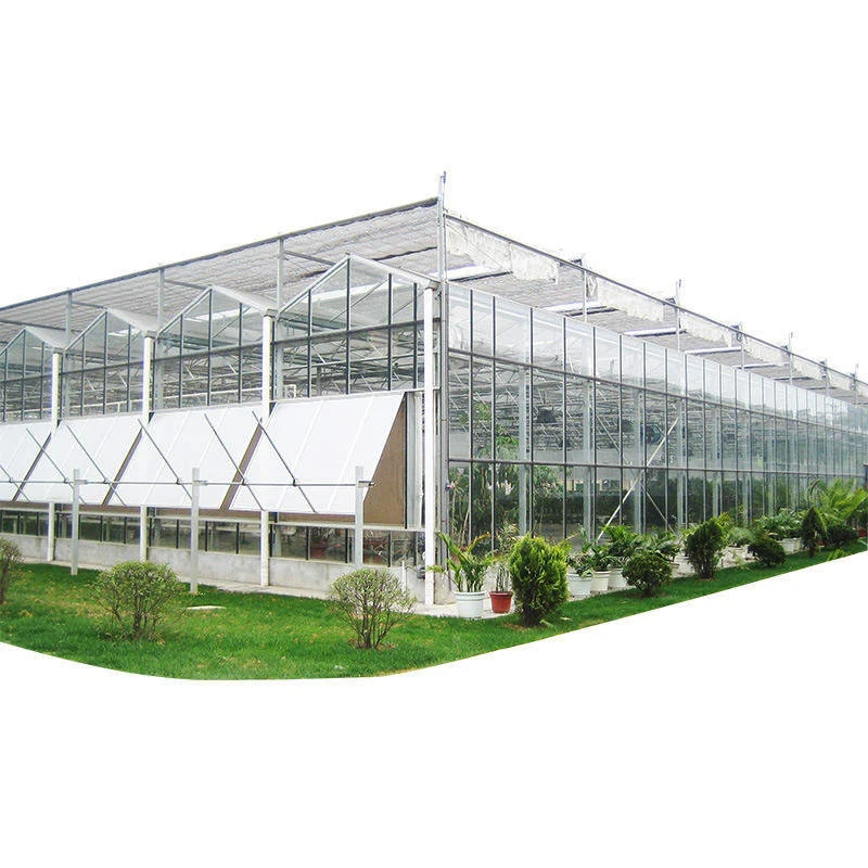 Multi-Span Large Smart Venlo Greenhouse Commercial Agricultural Horticultural Mini Glass Flower Greenhouse Plastic Plant